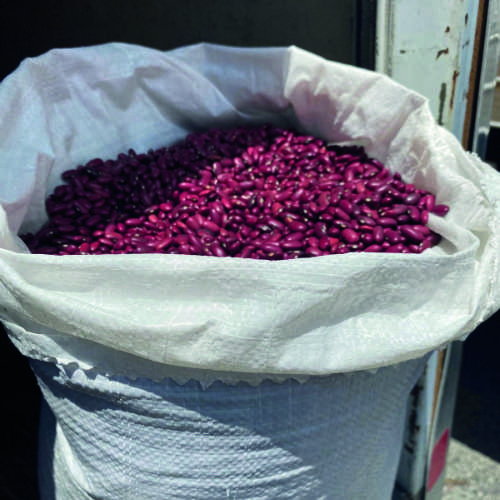 Frijoles rojo de seda